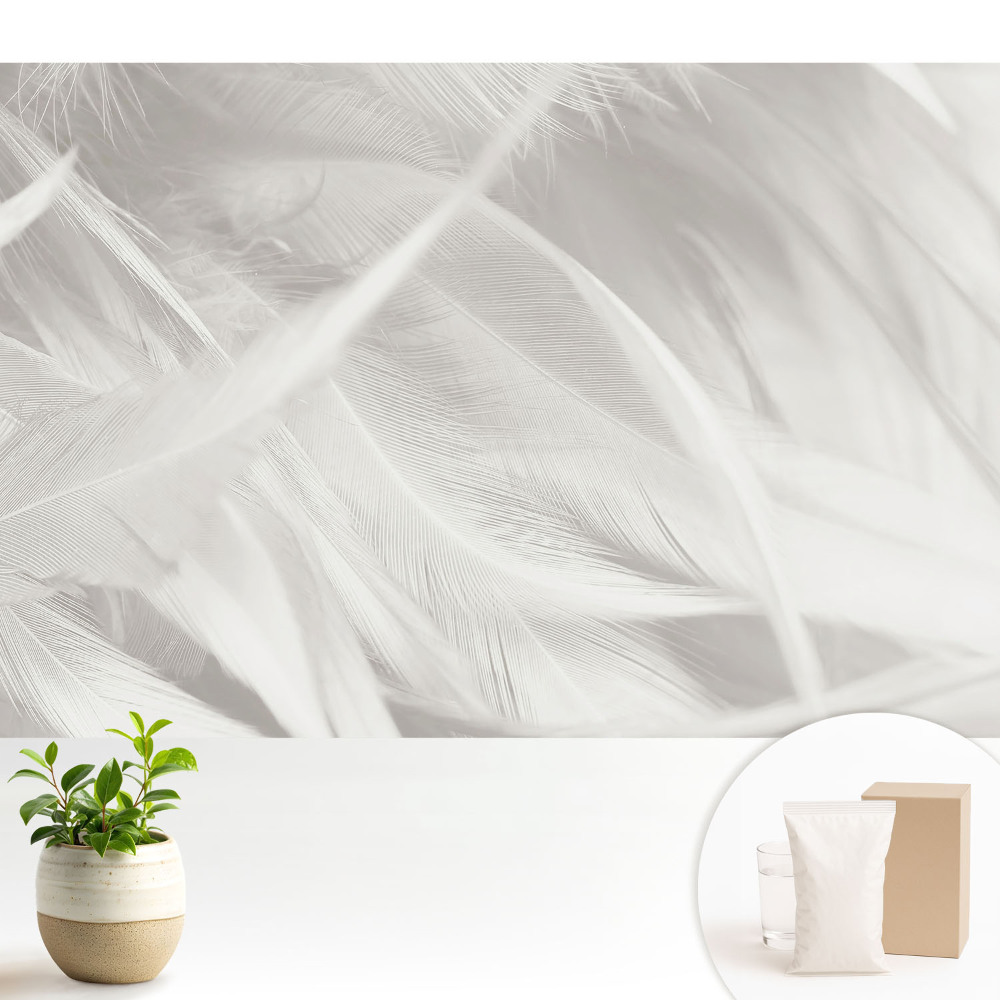 Tapeta fotograficzna flizelinowa Puszyste białe pióra