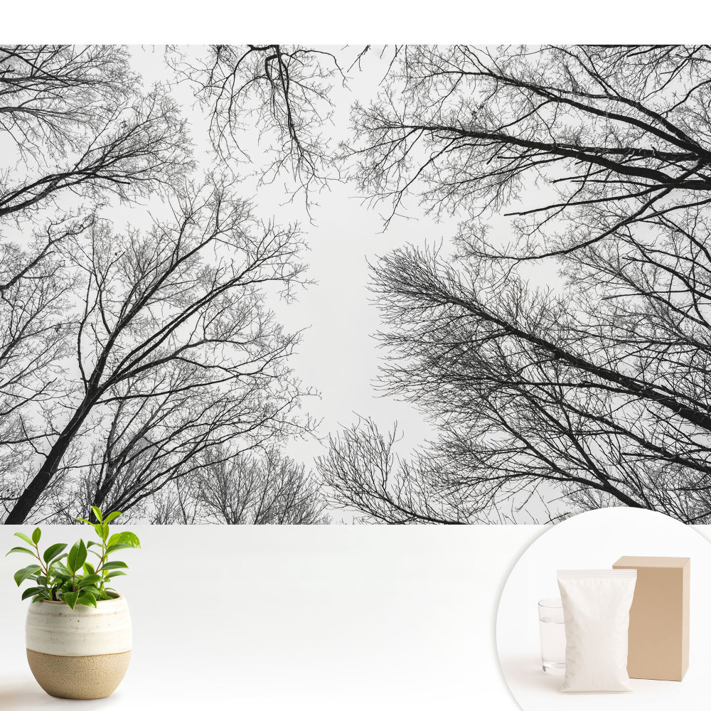 Tapeta fotograficzna flizelinowa Czarno-białe zimowe drzewa