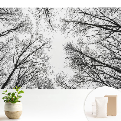 Tapeta fotograficzna flizelinowa Czarno-białe zimowe drzewa