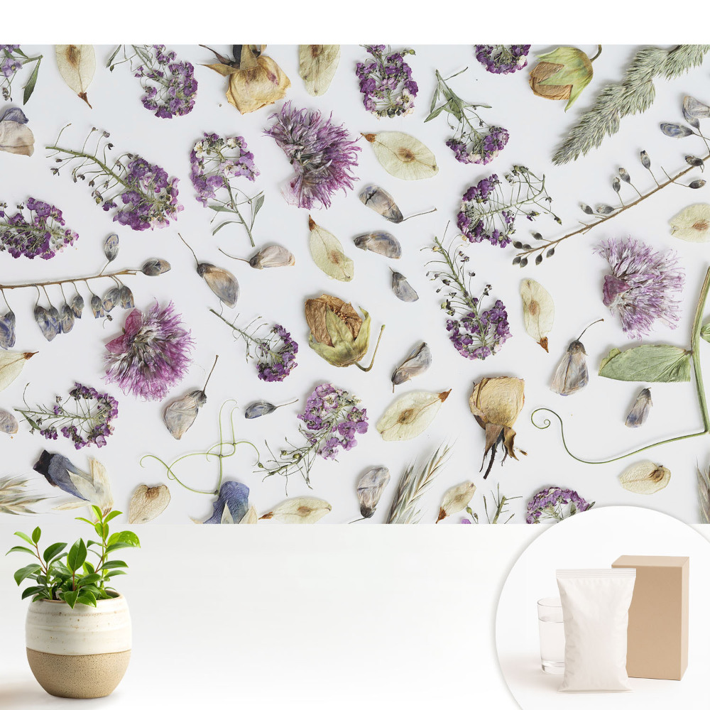 Fototapeta z nadrukiem na flizelinie Zasuszone kwiaty na białym tle