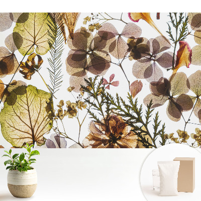 Fototapeta flizelinowa do salonu Suszone liście i kwiaty w stylu boho