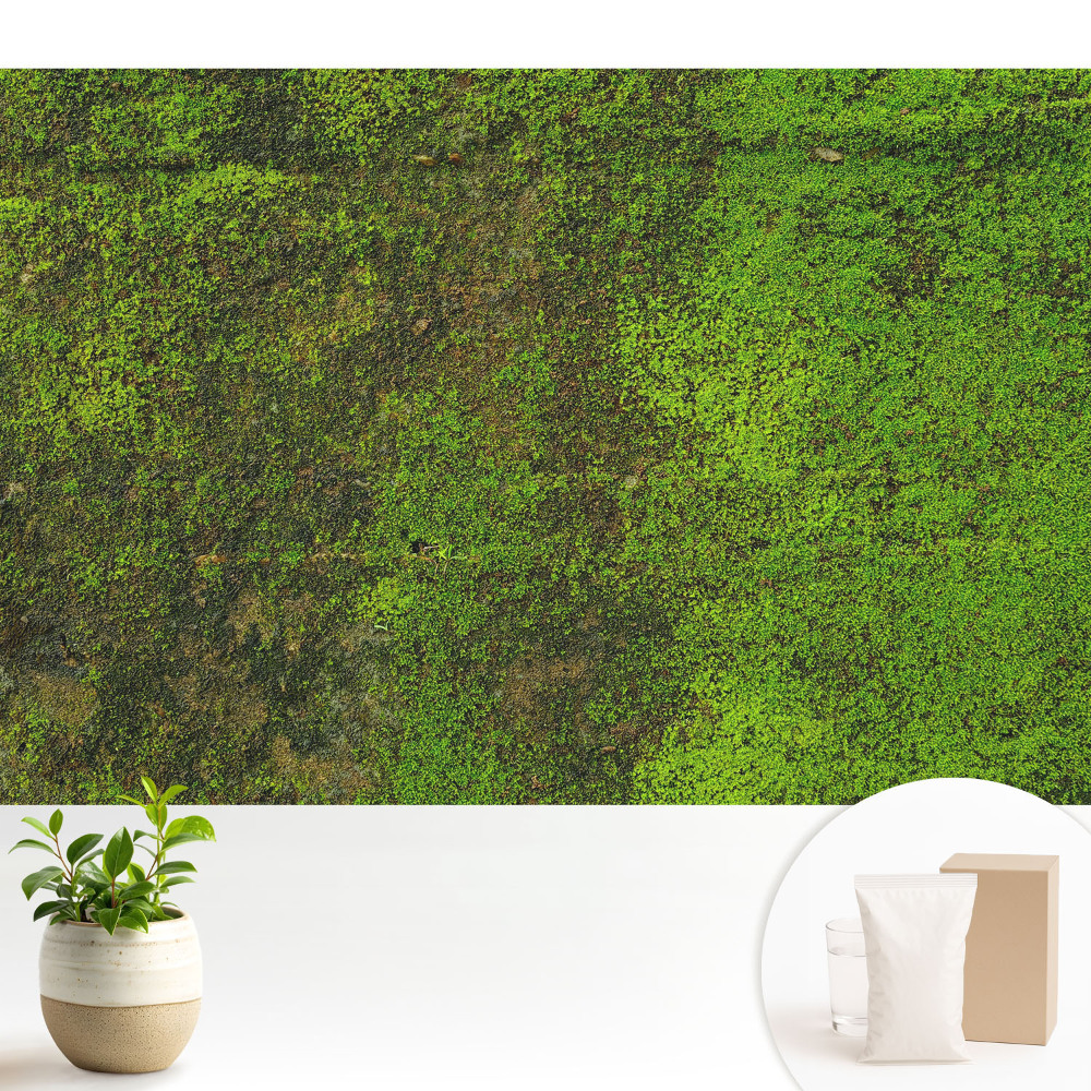 Nowoczesna fototapeta na wymiar Mech tekstura organiczna