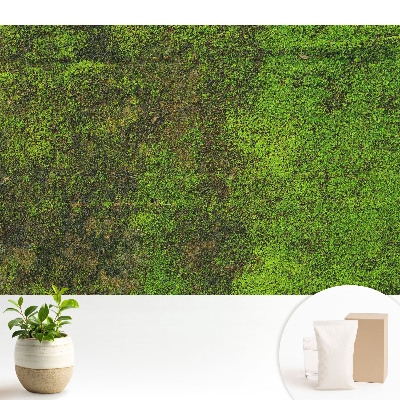 Nowoczesna fototapeta na wymiar Mech tekstura organiczna