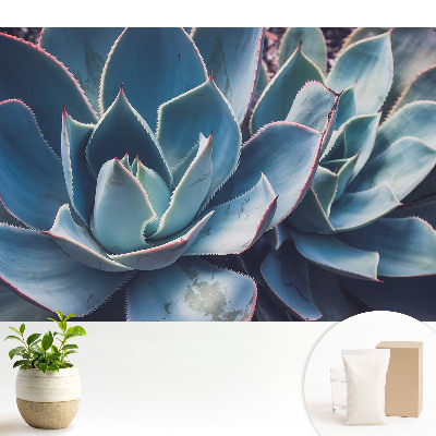 Nowoczesna fototapeta na wymiar Soczyste liście forma symetria minimalizm