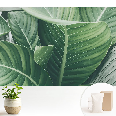 Tapeta fotograficzna flizelinowa Zielone liście natura harmonia nowoczesność