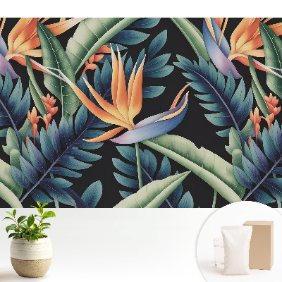 Tapeta fotograficzna flizelinowa Tropikalne kwiaty na czarnym tle