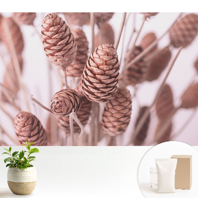 Fototapeta flizelinowa do salonu Sosnowe szyszki w rustykalnym stylu
