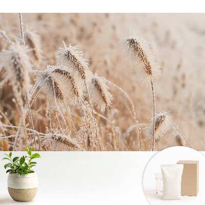 Fototapeta na wymiar do sypialni Szron na trawach zimowe piękno natura