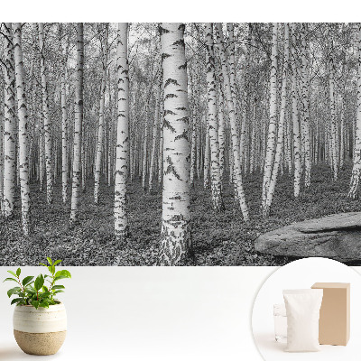 Tapeta fotograficzna flizelinowa Las brzozowy spokój natury harmonia