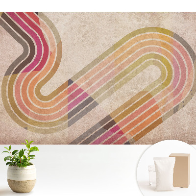 Fototapeta flizelinowa do salonu Kolorowe linie abstrakcyjna forma