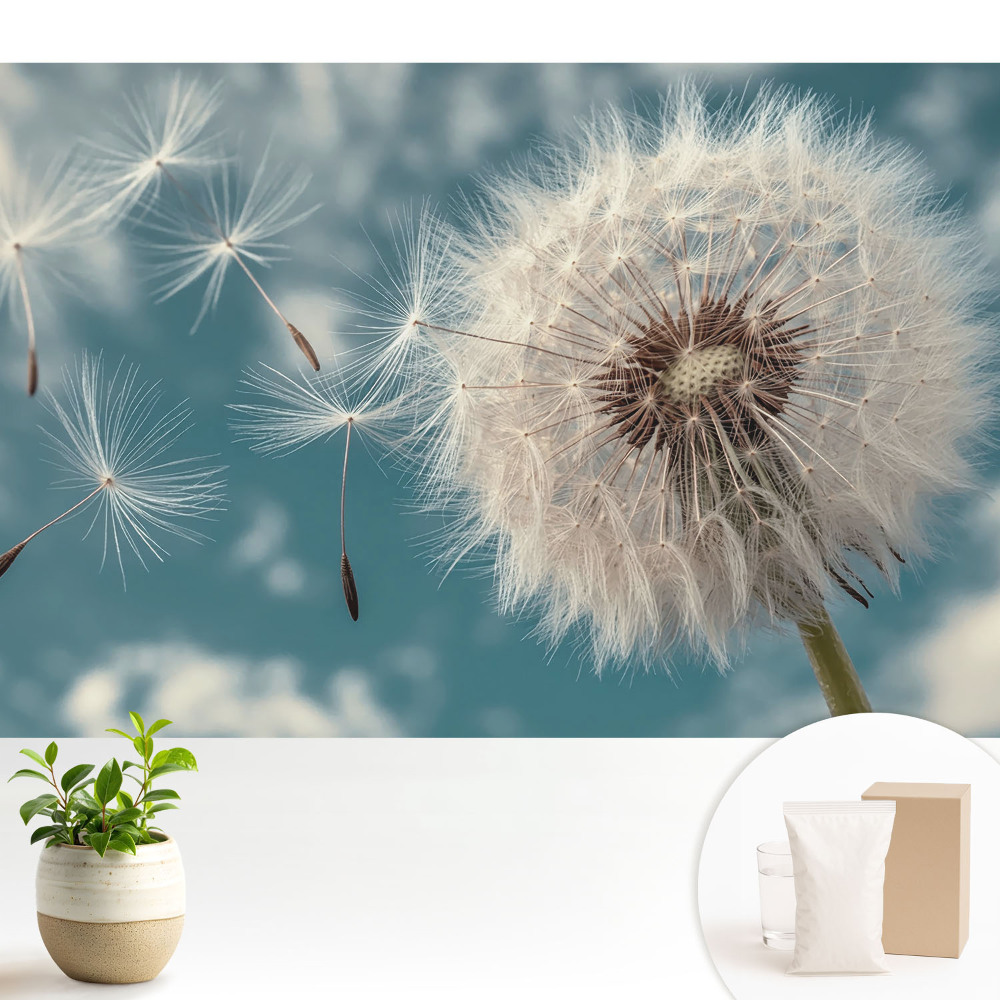 Fototapeta na wymiar do sypialni Dmuchawiec w wietrze