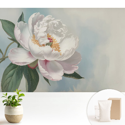 Fototapeta Peonia na błękitnym tle