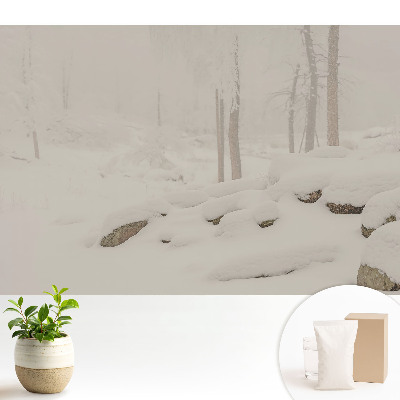 Fototapeta Zimowy krajobraz przytulny las