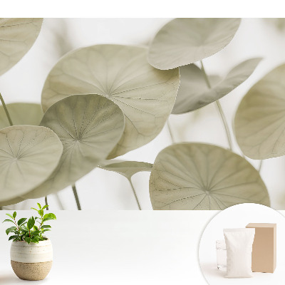 Tapeta fotograficzna flizelinowa Liście w minimalistycznym stylu