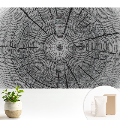 Fototapeta do salonu Drewniane kręgi symetryczna kompozycja