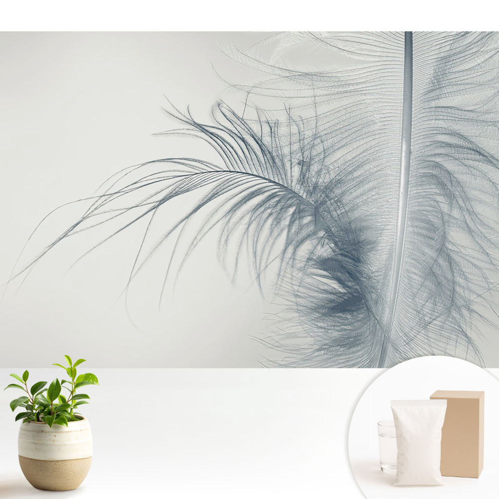 Tapeta fotograficzna flizelinowa Motyw delikatnego pióra lekkość i harmonia