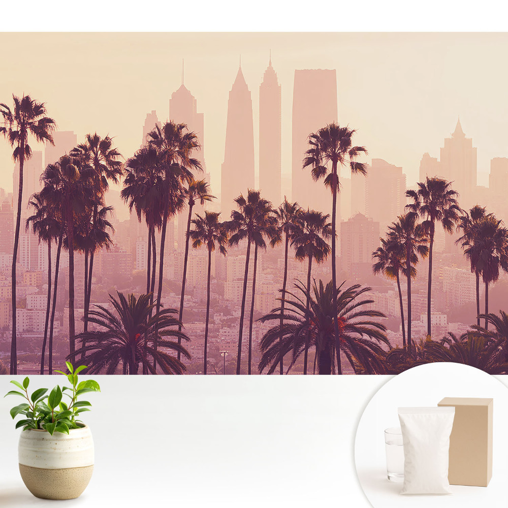 Fototapeta Klimatyczne palmy zachodzące słońce