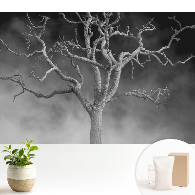 Fototapeta na wymiar do sypialni Samotne drzewo w mgle