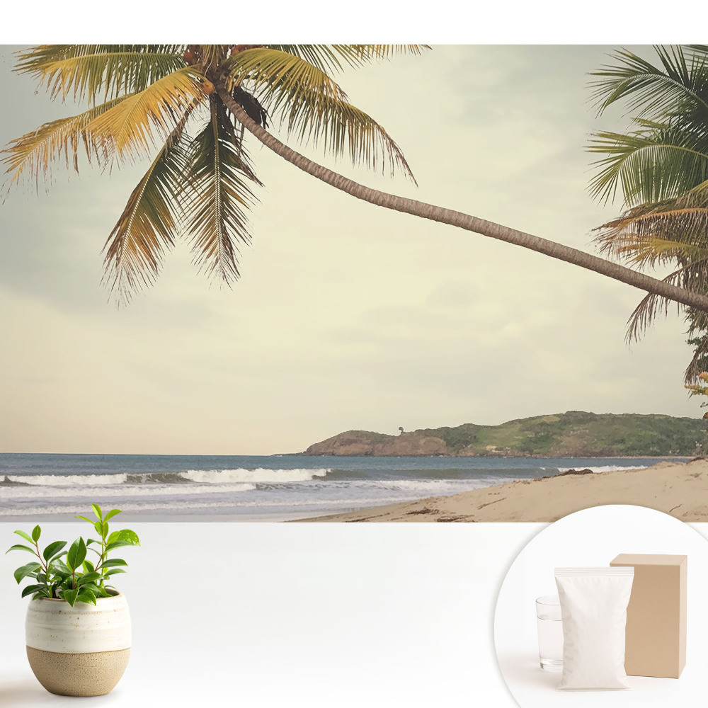 Fototapeta do salonu Palma i plaża egzotyczna