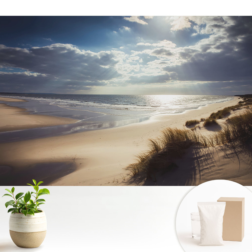 Fototapeta Plaża natura niebo zen