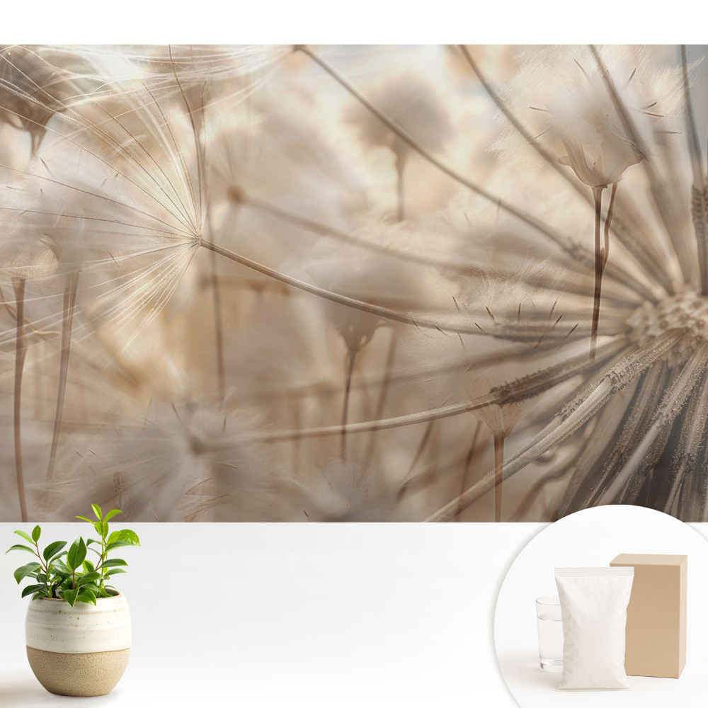 Tapeta fotograficzna flizelinowa Eteryczne dmuchawce harmonia natury