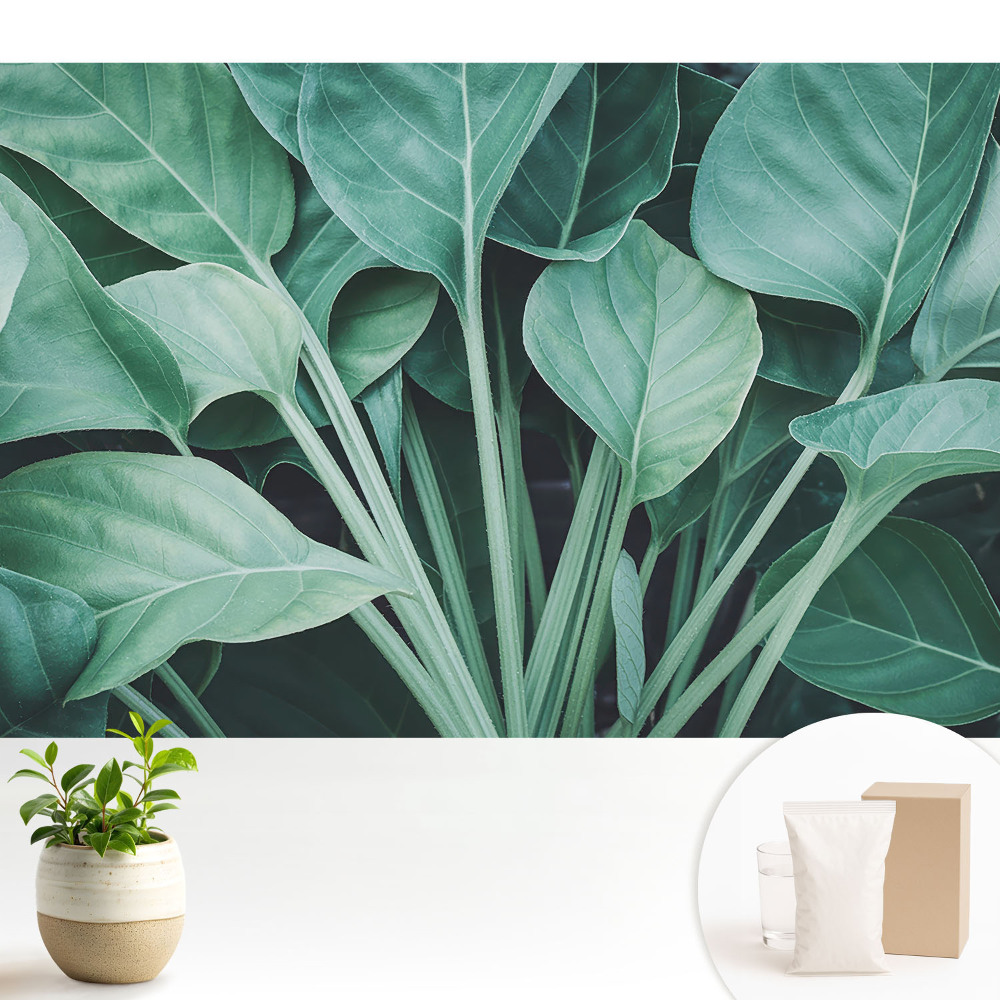 Fototapeta z nadrukiem na flizelinie Zielone liście natura harmonia