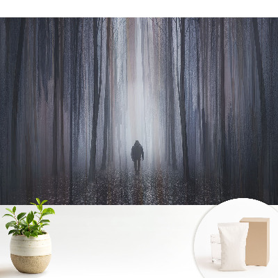 Tapeta fotograficzna flizelinowa Samotna postać w tajemniczym lesie