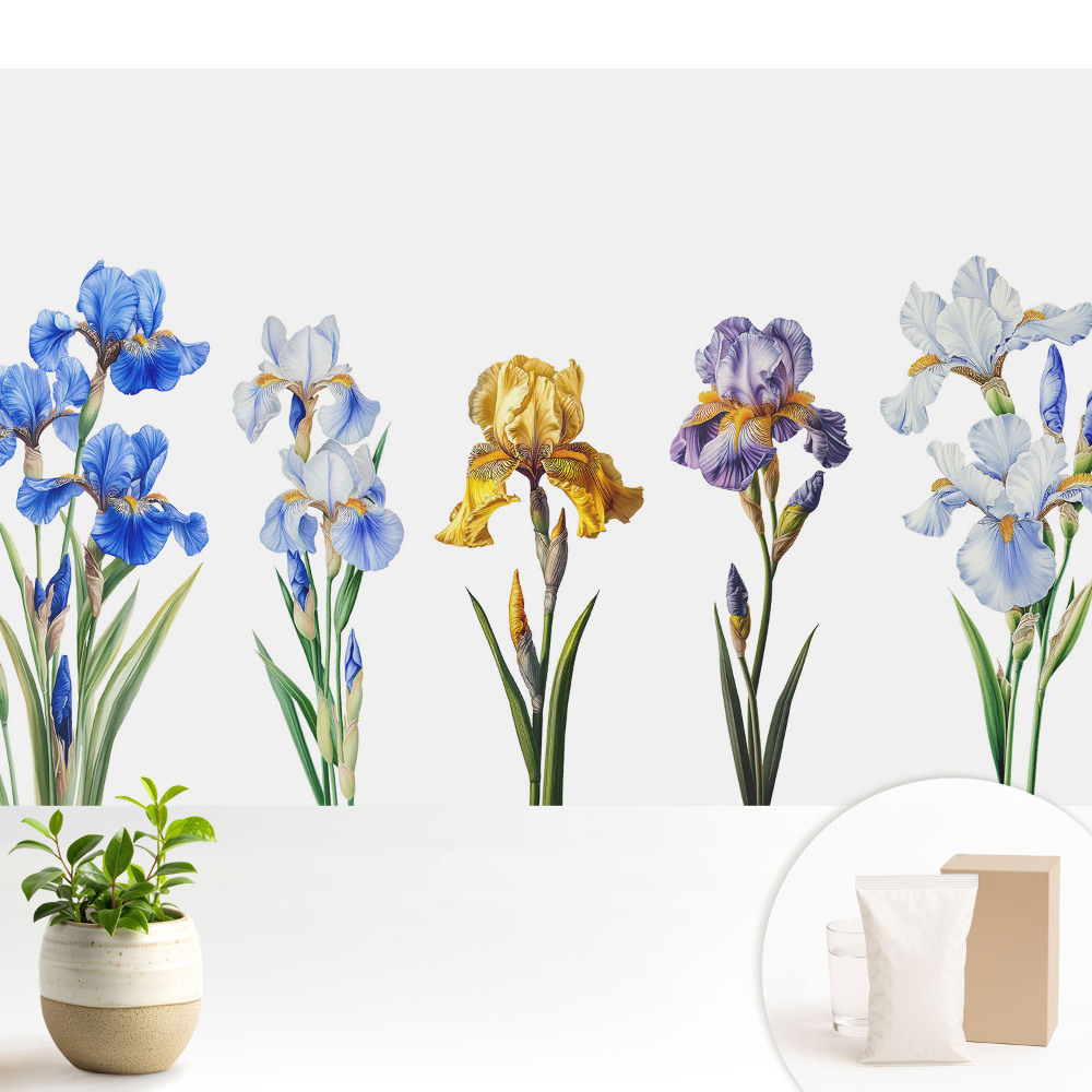 Fototapeta z nadrukiem na flizelinie Kolorowe kwiaty irysów na białym tle