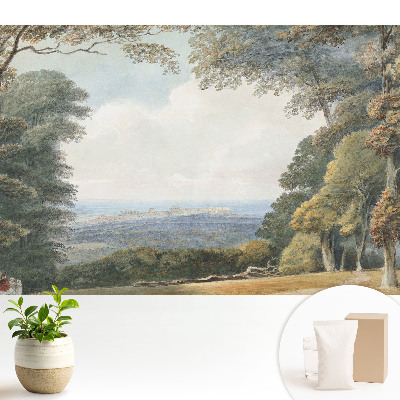 Fototapeta flizelinowa do salonu Pejzaż przy lesie widok miasta