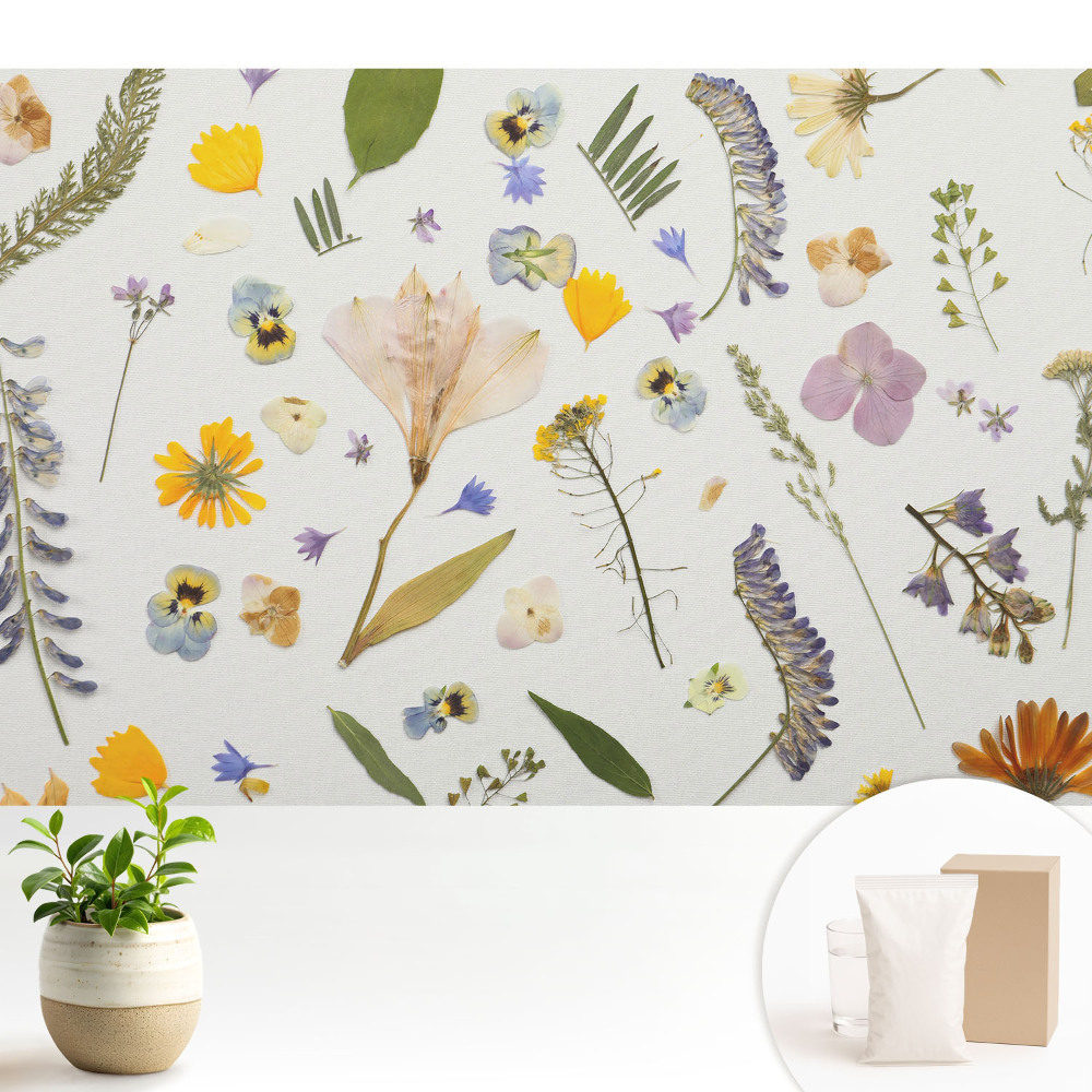 Nowoczesna fototapeta na wymiar Suszone kwiaty na białym płótnie