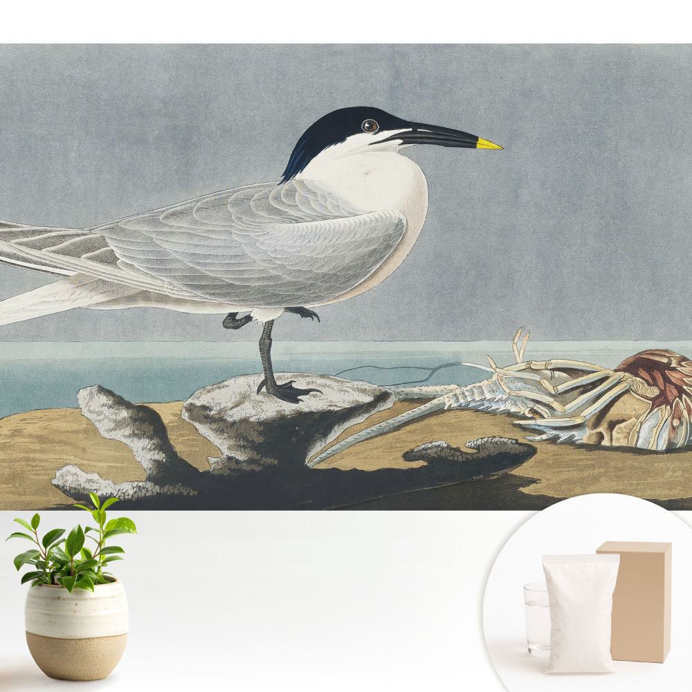 Fototapeta do salonu Elegancki ptak na tle morza