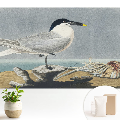 Fototapeta do salonu Elegancki ptak na tle morza