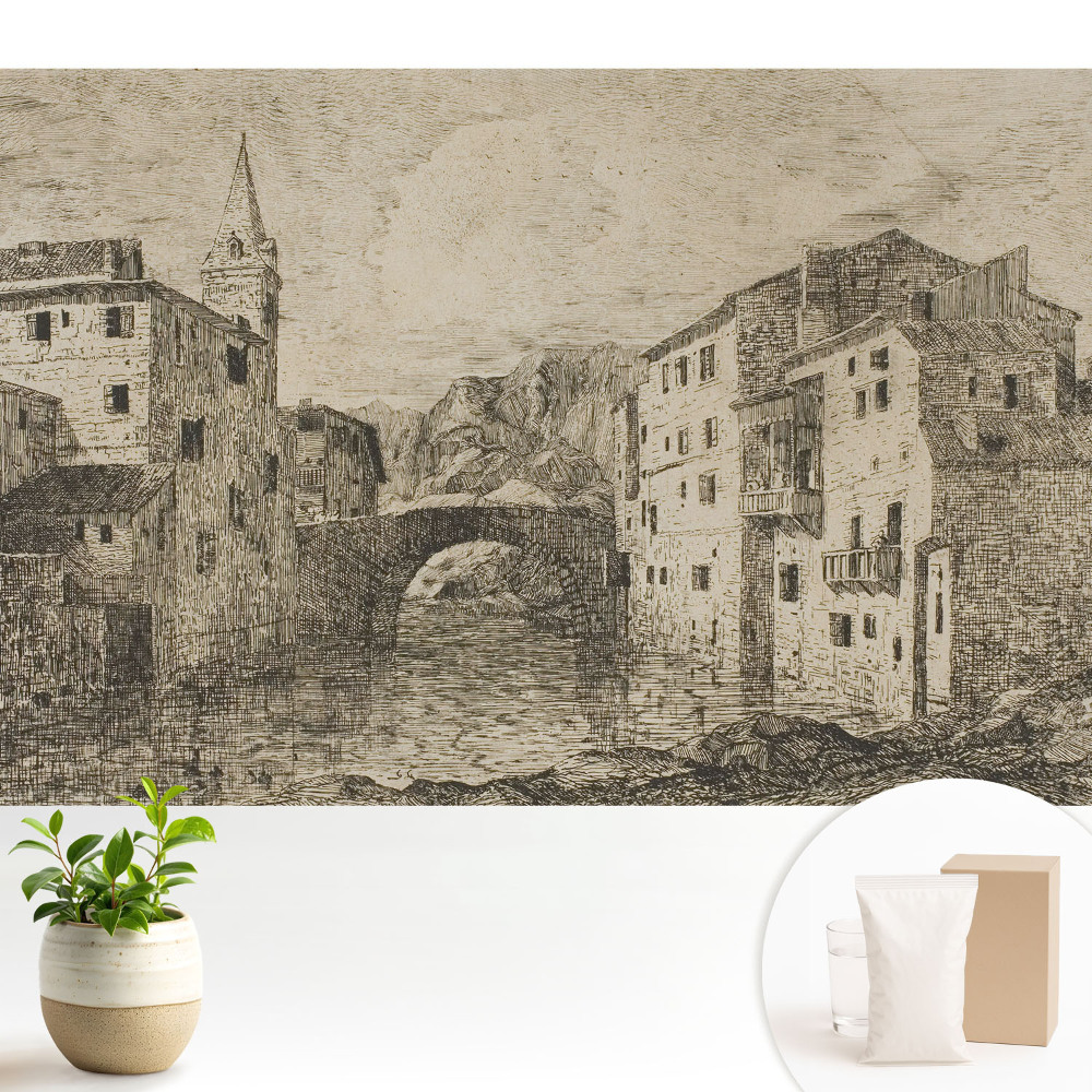 Fototapeta do salonu Klasyczne budynki most rzeka.