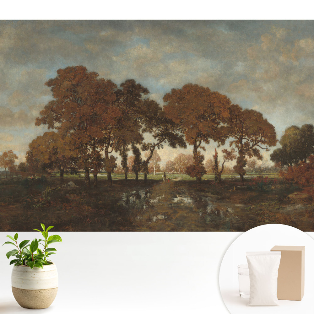 Nowoczesna fototapeta na wymiar Jesienne drzewa w rustykalnym krajobrazie