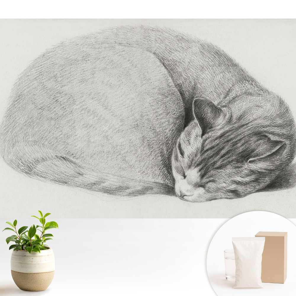 Fototapeta z nadrukiem na flizelinie Śpiący kot realistyczny rysunek