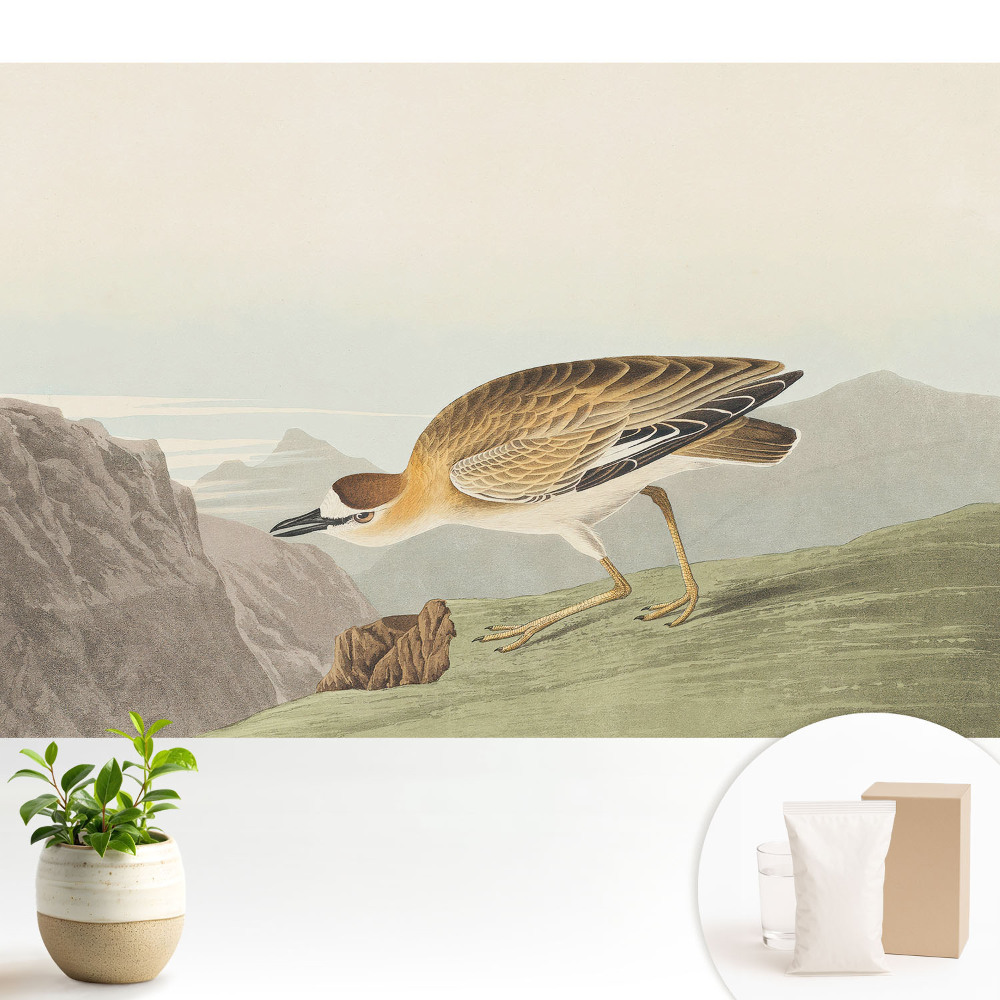 Tapeta fotograficzna flizelinowa Ptaszek na zboczu góry