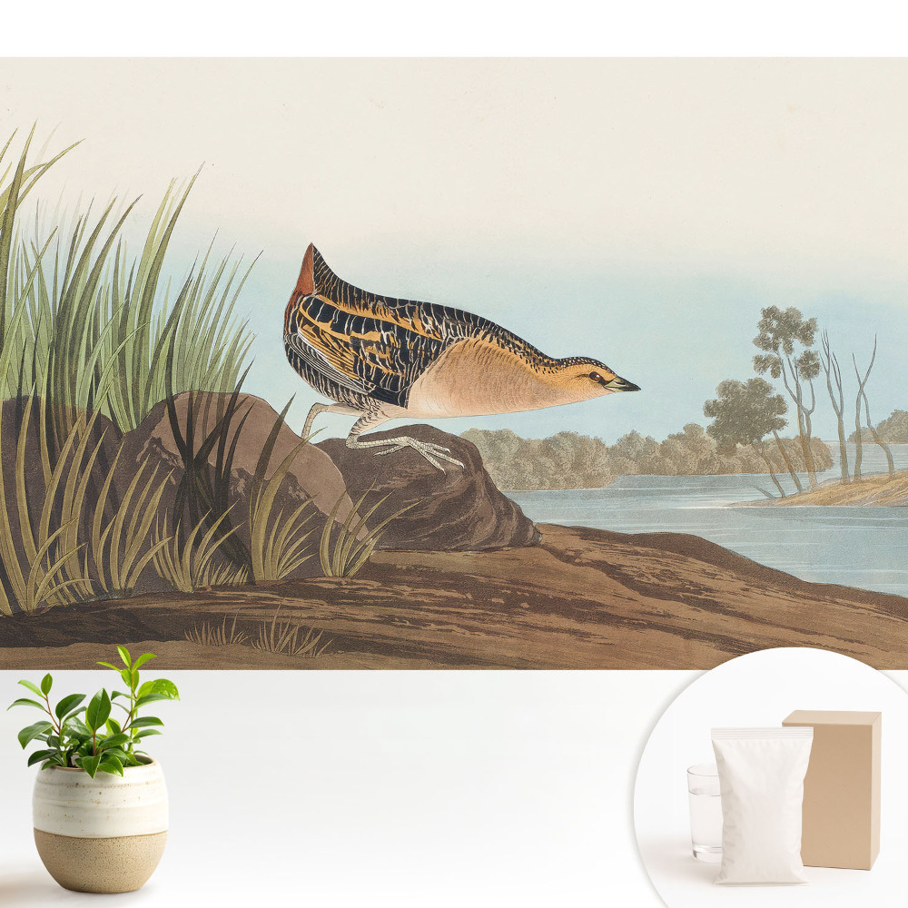 Tapeta fotograficzna flizelinowa Ptak nad wodą w klasycznym stylu