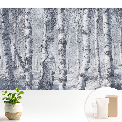 Fototapeta flizelinowa z motywem zimowego lasu brzóz