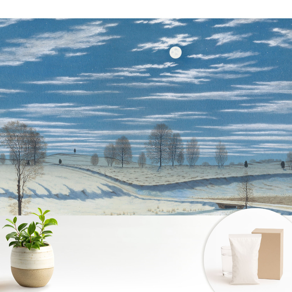 Fototapeta flizelinowa do salonu Nastrojowy zimowy krajobraz pod księżycem