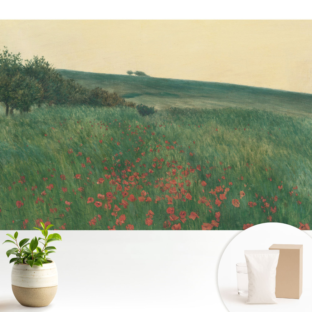 Tapeta fotograficzna flizelinowa Rustykalna łąka pełna maków i drzew