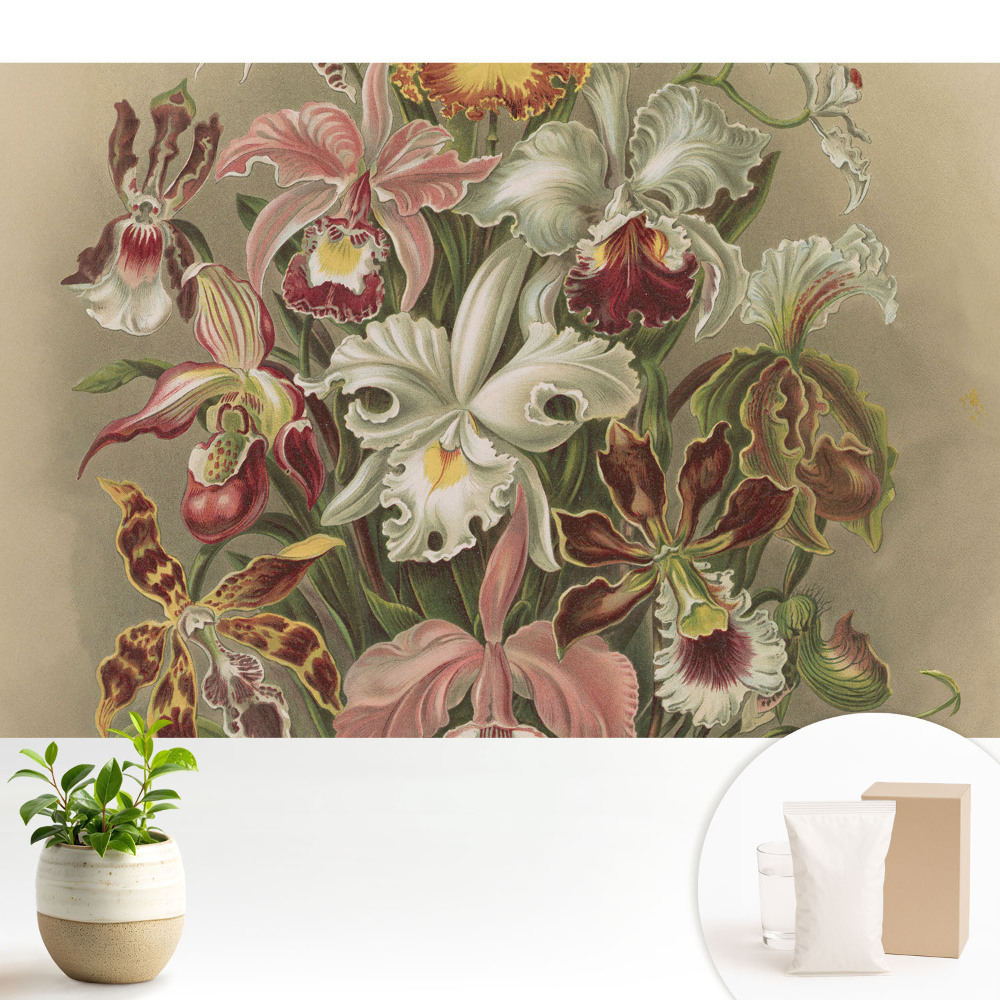 Fototapeta Egzotyczne kwiaty harmonia natury