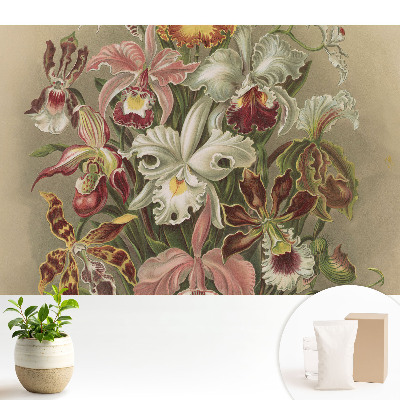 Fototapeta Egzotyczne kwiaty harmonia natury