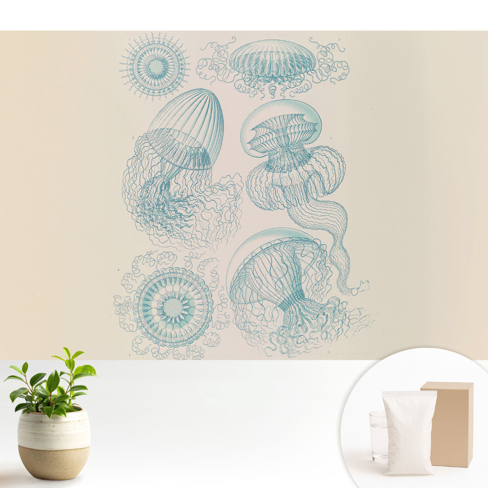 Fototapeta do salonu Subtelne rysunki morskie meduz