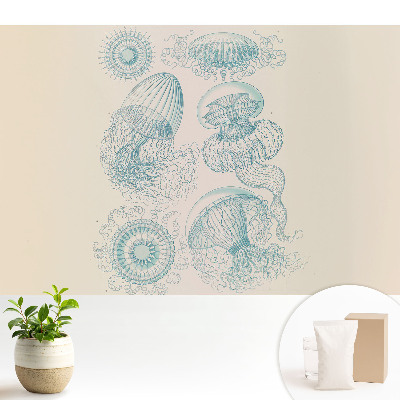 Fototapeta do salonu Subtelne rysunki morskie meduz