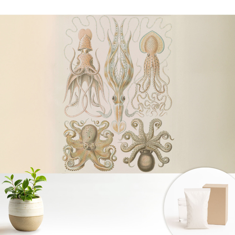 Fototapeta na wymiar do sypialni Morskie głowonogi harmonia detali