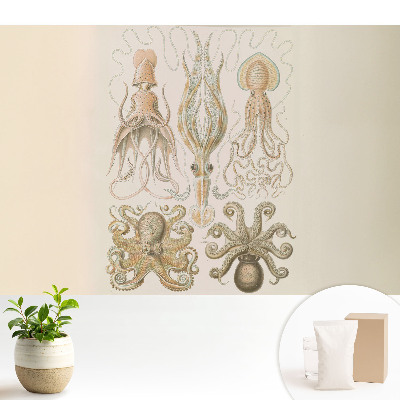 Fototapeta na wymiar do sypialni Morskie głowonogi harmonia detali