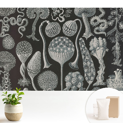 Fototapeta flizelinowa do salonu Fantastyczne formy organiczne czarno-białe