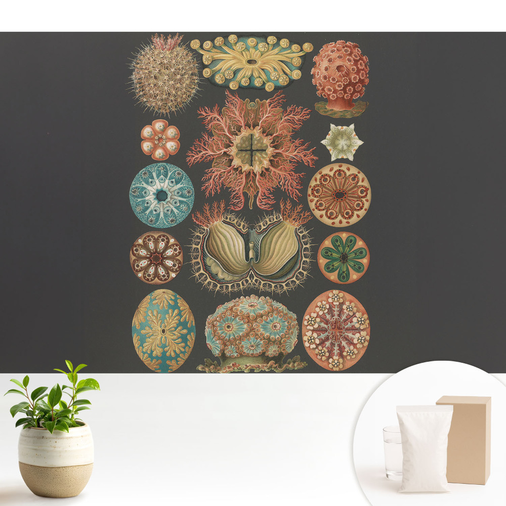 Fototapeta z nadrukiem na flizelinie Abstrakcyjne formy morskie w klasycznym stylu