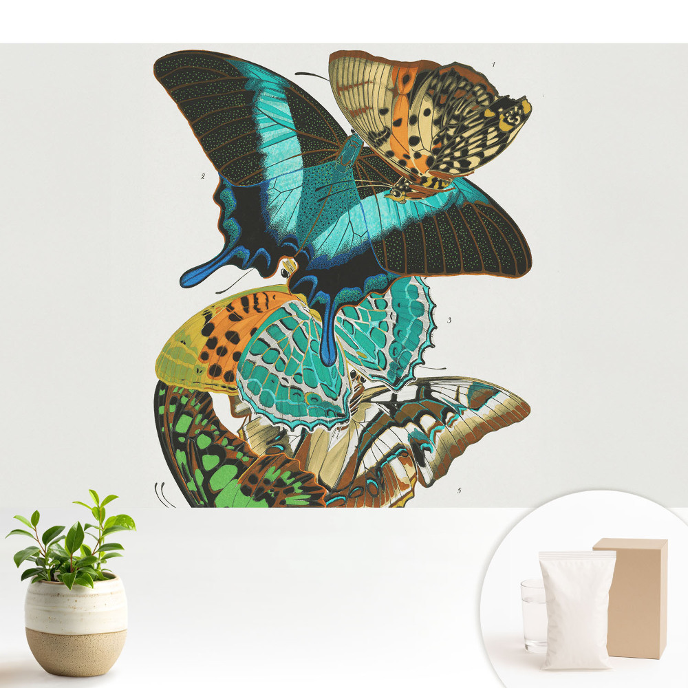 Fototapeta flizelinowa do salonu Kolorowe motyle klasyka harmonijna kompozycja