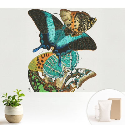 Fototapeta flizelinowa do salonu Kolorowe motyle klasyka harmonijna kompozycja